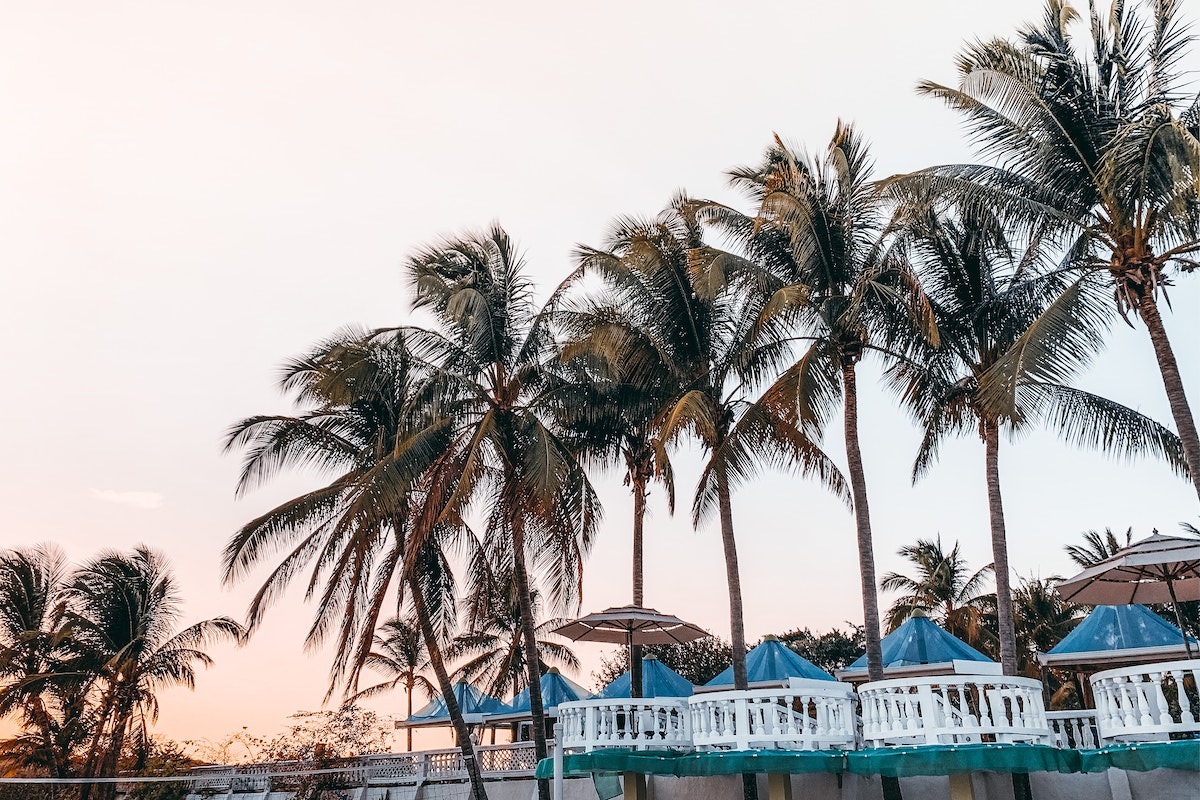 blue-umbrellas-on-resort-terrace-near-exotic-palms